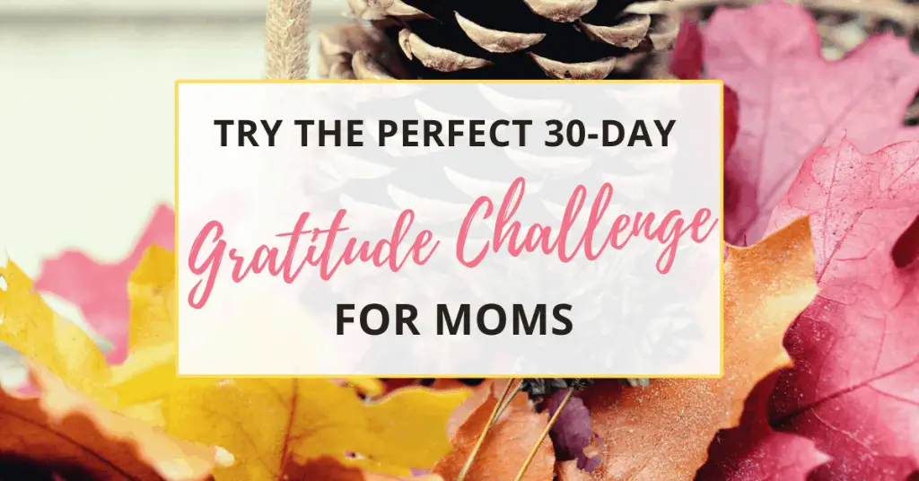 try the 30 day gratitude challenge for moms