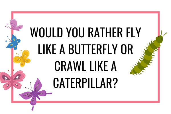 butterfly or caterpillar