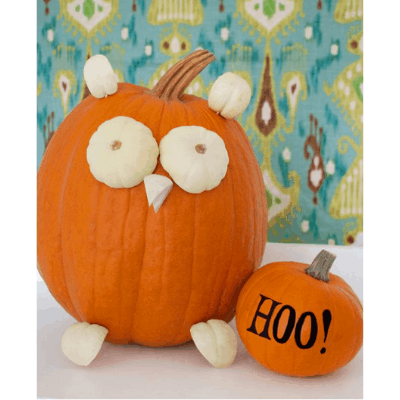 owl pumpkin