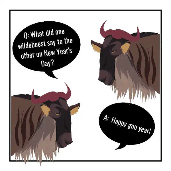funny new years jokes for kids