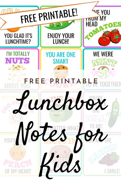 lunchbox notes pin