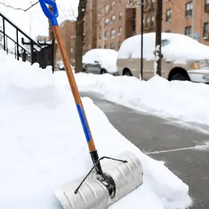 shoveled sidewalk