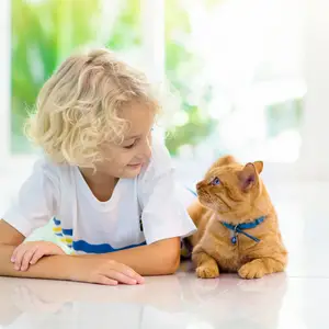kids and pets