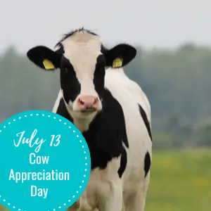 cow appreciation day