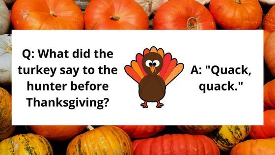 clean thanksgiving jokes